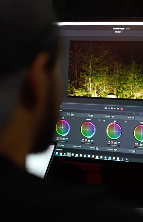 Dylan Dalal Content Review